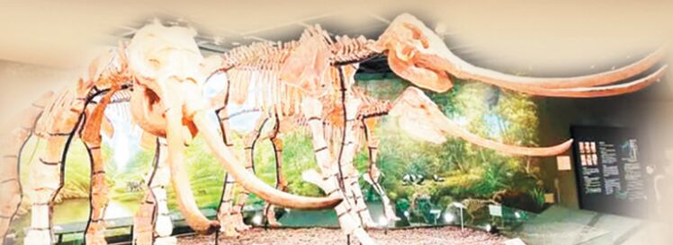 ����������һ������Ϊ����ɥͬһ�ط���