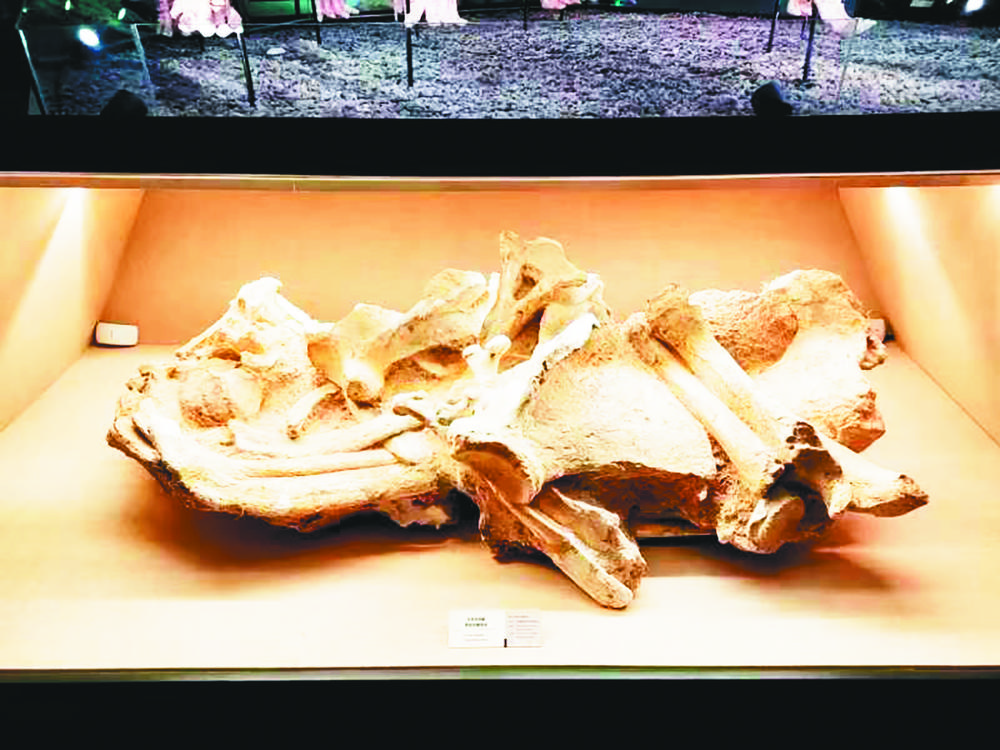 ����������һ������Ϊ����ɥͬһ�ط���