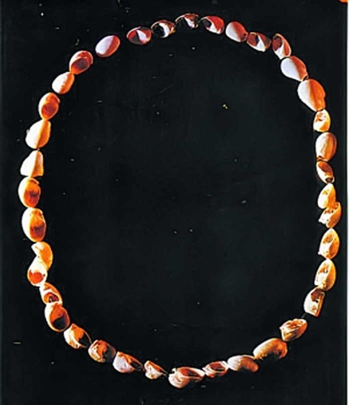 ��������ַ���������ϵ����������