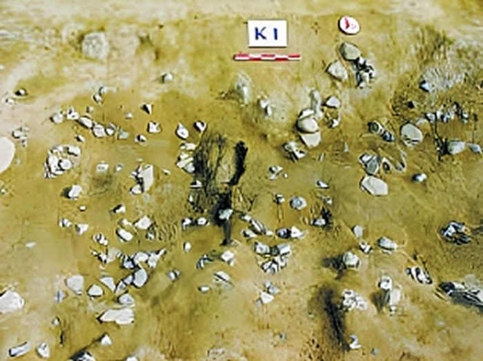 ��������ַ���������ϵ����������