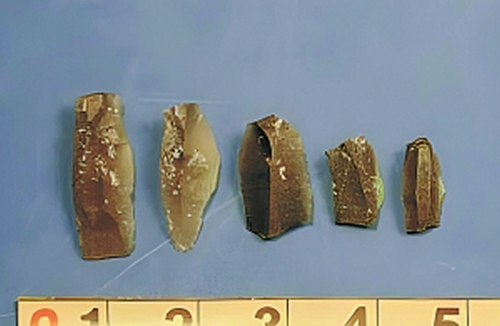 ��������ַ���������ϵ����������