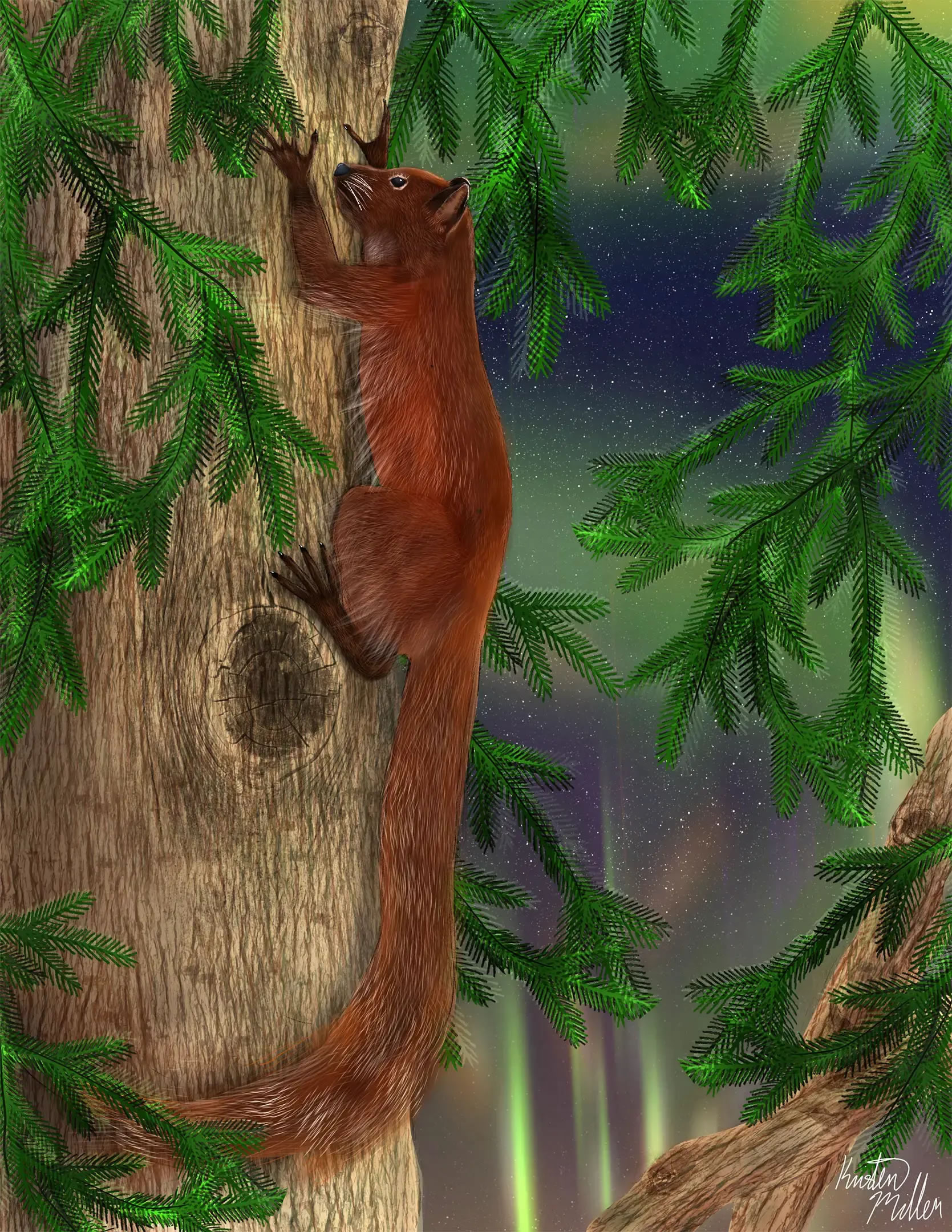 ������������Ϊprimatomorphans�Ľ��鳤�ද��������� ������5200����ǰ