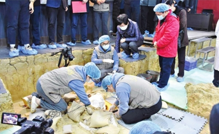 “郧县人”3号头骨化石实证中国百万年人类史