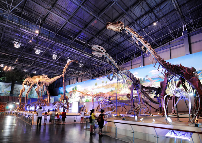 ��Ͽ�����ż�԰��������ȫ�����ս������ؽ�����ʽ