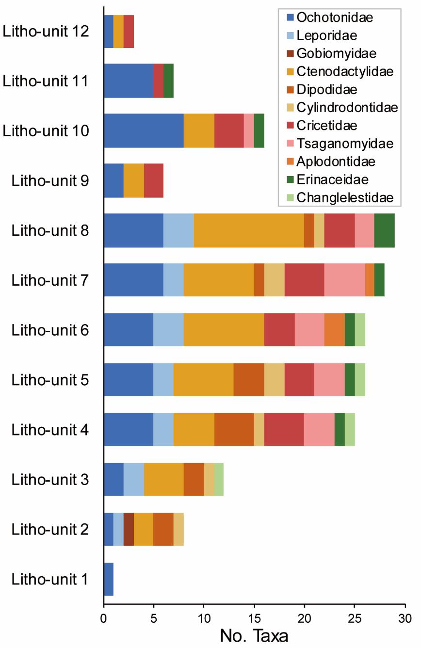 �������ѧǰ�ء������ɹ���ʢ����ʯ������ʯ�ز��ܽ���