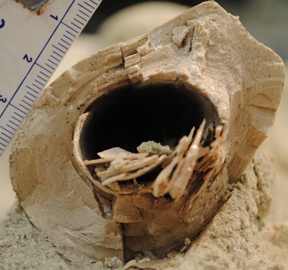 �������޽���Ŀ�������ͻ���С�ͻ�����ķ�չ����