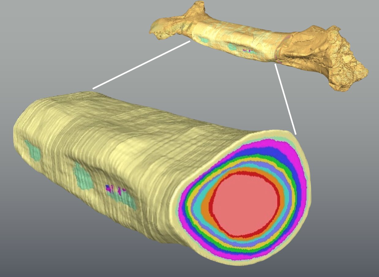 �������޽���Ŀ�������ͻ���С�ͻ�����ķ�չ����