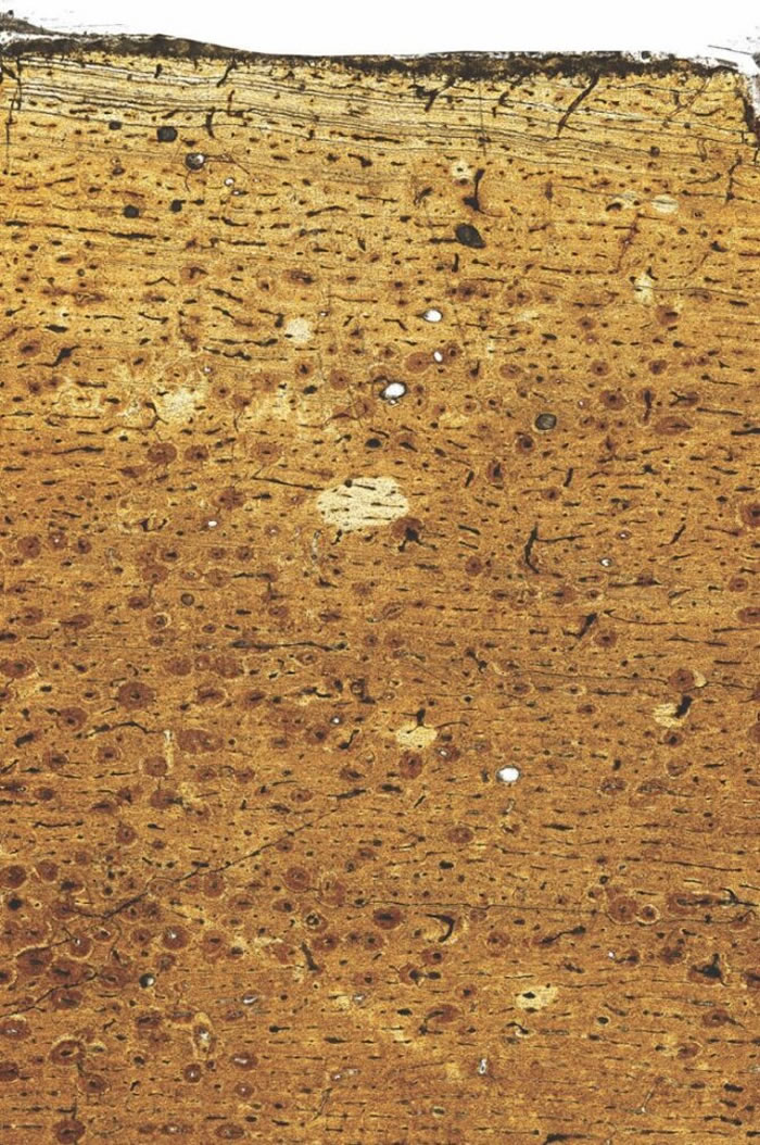 �������޽���Ŀ�������ͻ���С�ͻ�����ķ�չ����