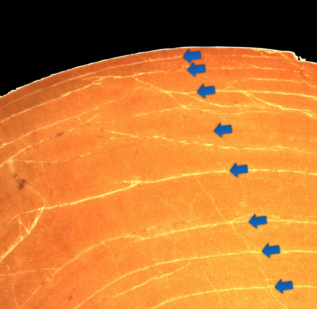 �������޽���Ŀ�������ͻ���С�ͻ�����ķ�չ����