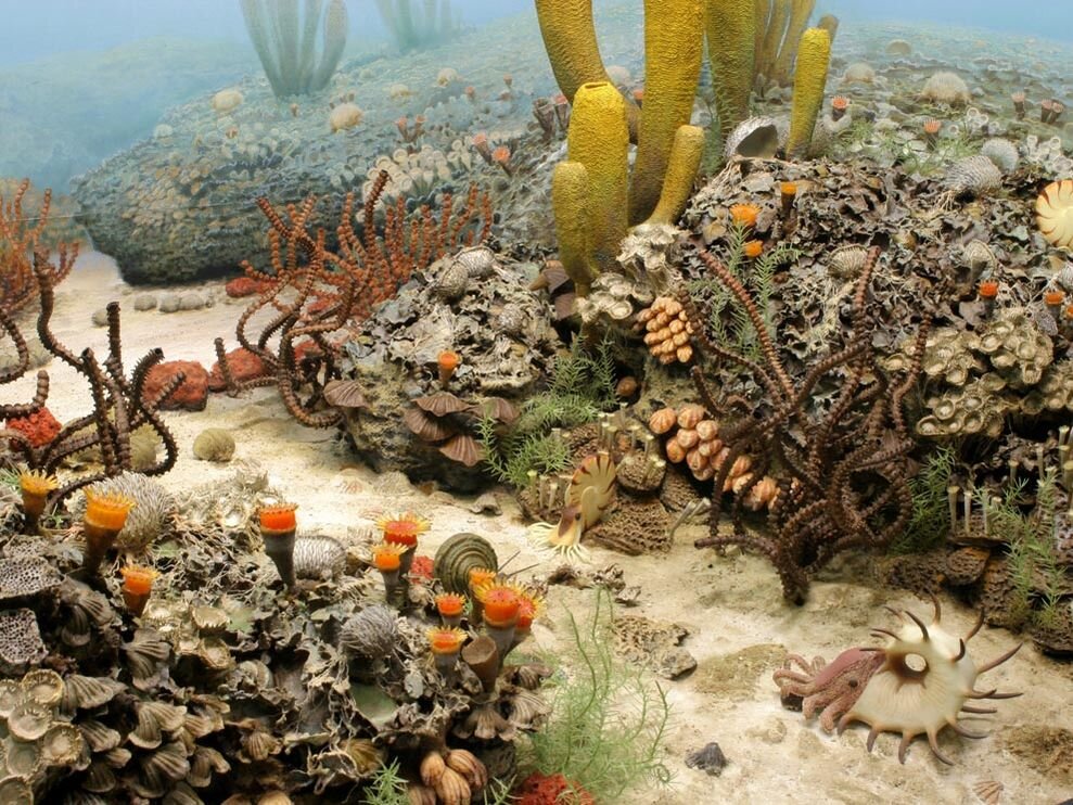 ���о���ʾ��������Ե�ɥʧ������2.52����ǰ�������������������̬����