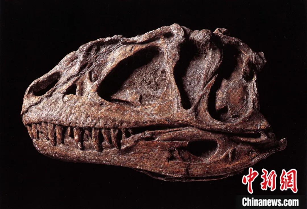 �����������ķ����й�ժ����û�пɿ���ʳ��������ñ��