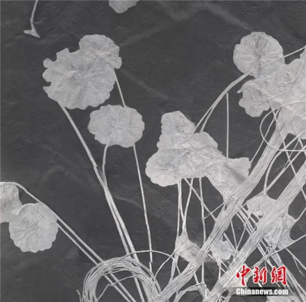 �����������ٺ���μ�֤ʷǰ������۷嵽�����