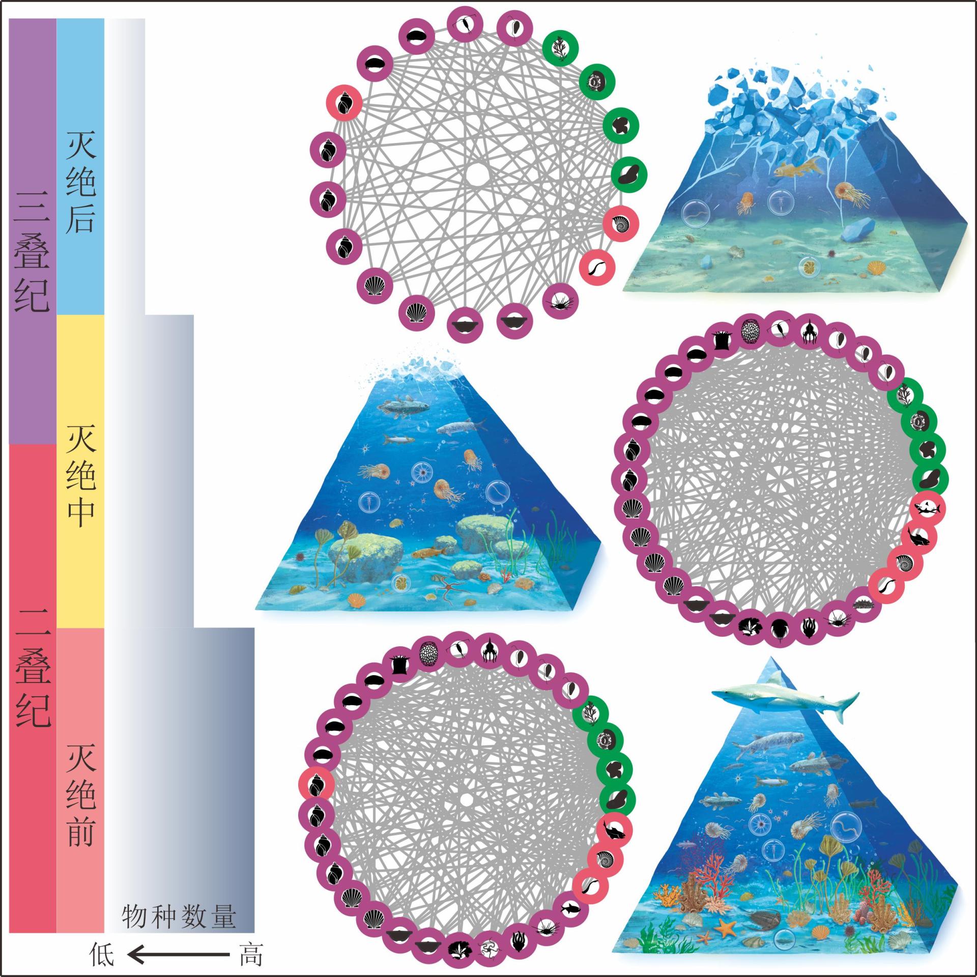 ��̬ģ�⼼����ʾ���������������Ե������Ϊ��̬ϵͳ̮��ǰ��