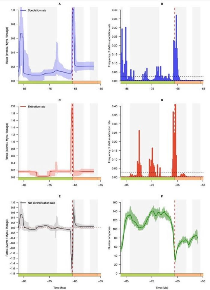 Ѽ-Ž(K-Pg)¼԰ĿֵӰ