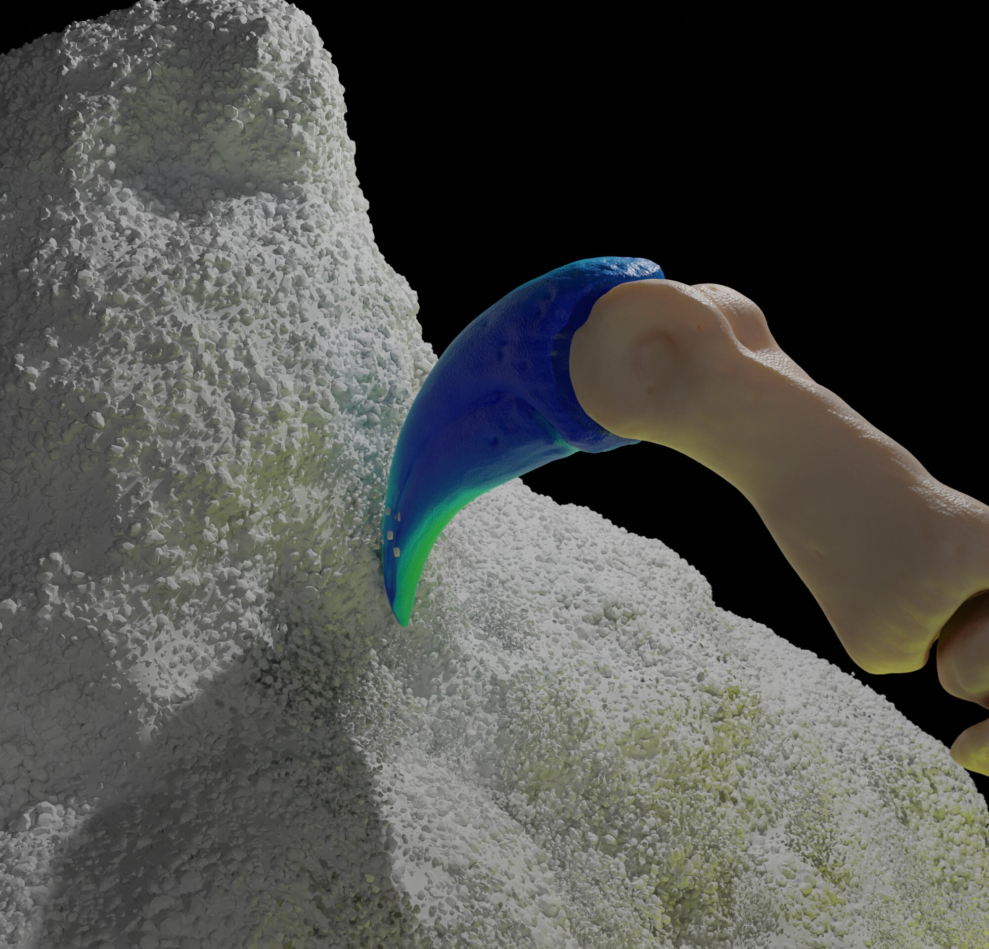 �о�����һЩ������צ�ӽ����ھ���һЩ����չʾ