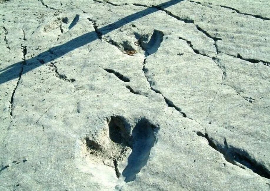 土库曼斯坦恐龙足迹化石将进入联合国教科文组织非物质文化遗产名录