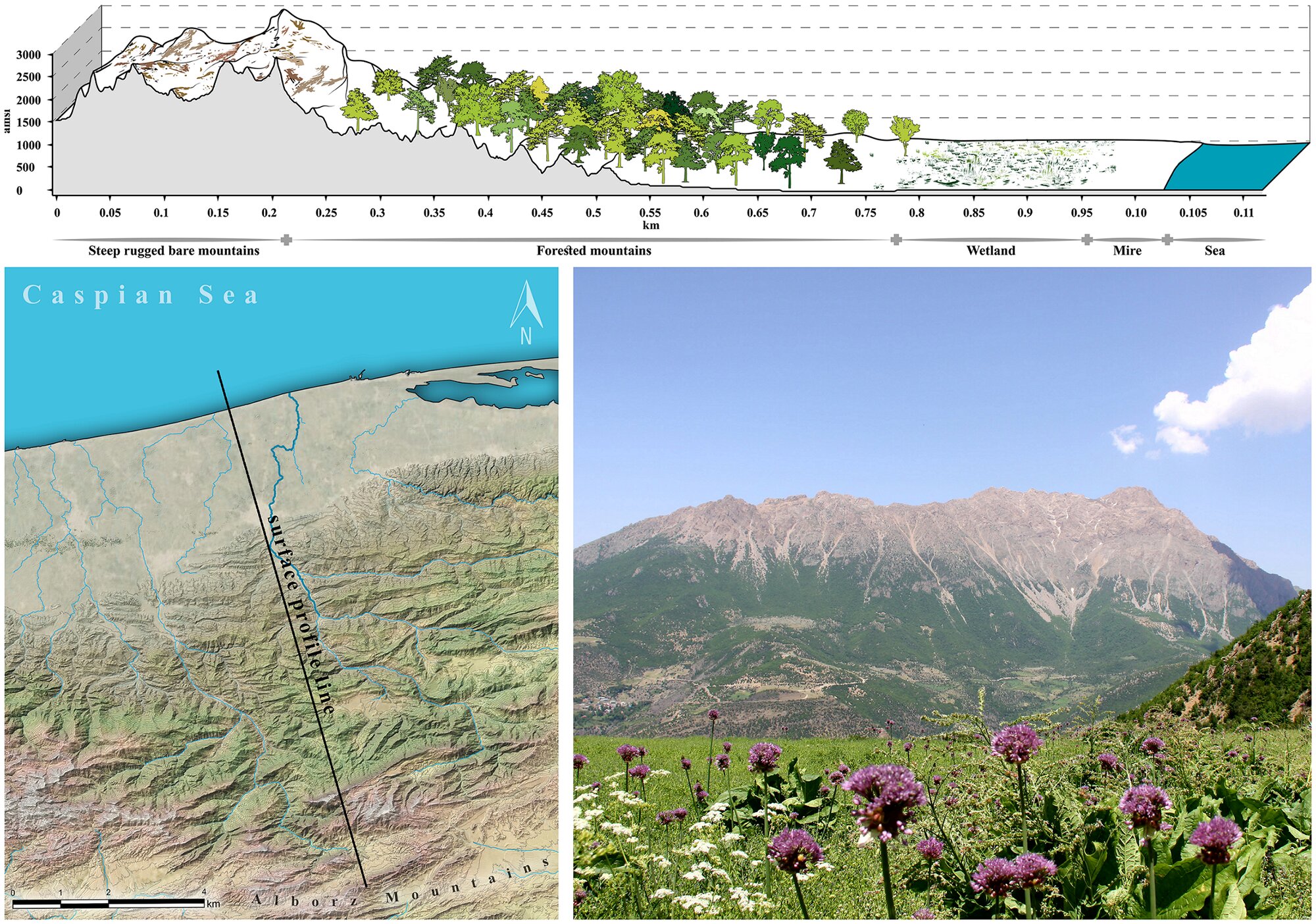 ŷ���ᰲ������Ǩ��ģ�Ͱ�ʾ�����ʿ�����������Ҫ����δ�����ֵĿ�����ַ