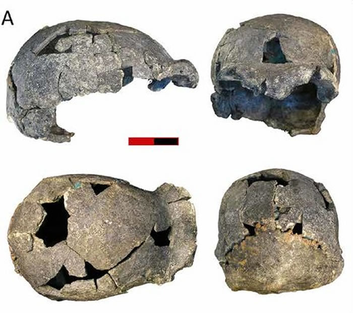 DAN5/P1��ֱ��������­�����������Ϸ���Գ���硰¶����