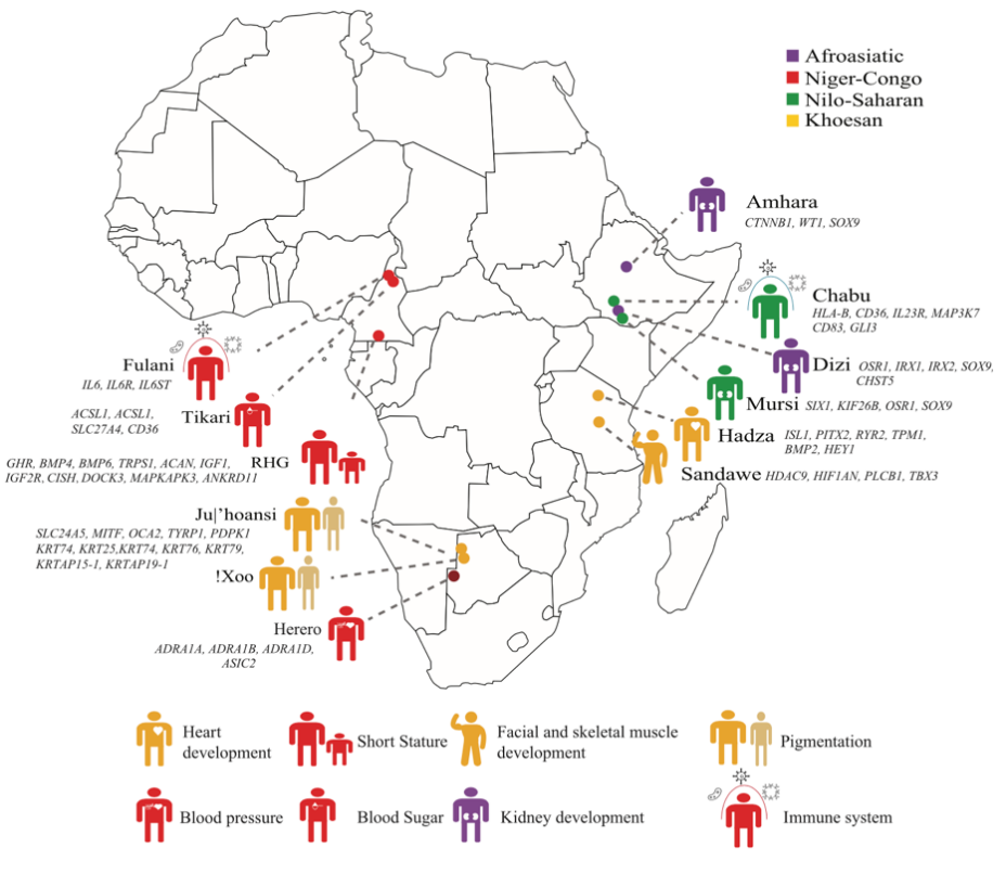 ȫ����������ʾ������Ⱥ�ĸ����ݻ�������Ի�������Ӧ�Խ���