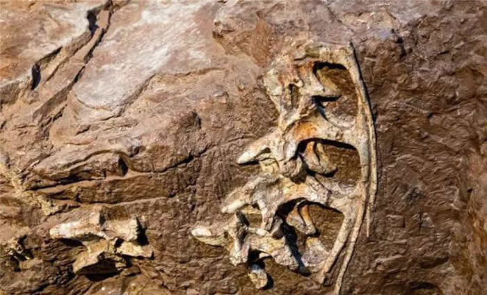 ����������������缶������ʯ��Դ�����조�������֮����