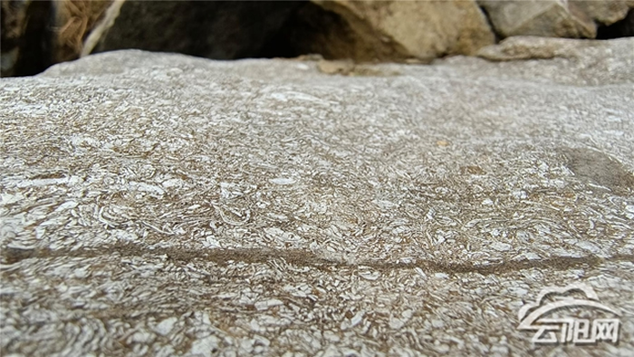 ��������ϼ����ϼ��1.8����ǰ�����ﻯʯ������̽��