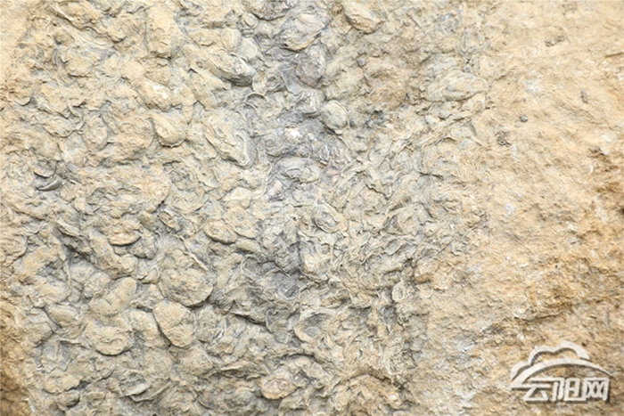 ��������ϼ����ϼ��1.8����ǰ�����ﻯʯ������̽��