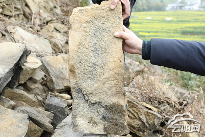 ��������ϼ����ϼ��1.8����ǰ�����ﻯʯ������̽��