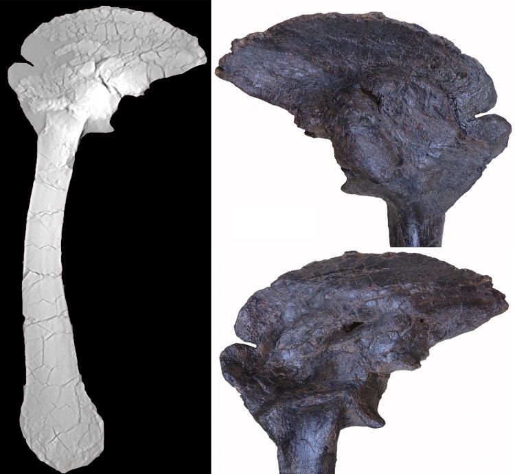 ������1�ڶ���ǰ�Ŀ������ѻ��Ϸ�ʪ��