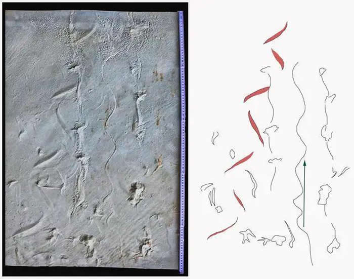 ±˹طһʮֺ2ǰ׺żʯ