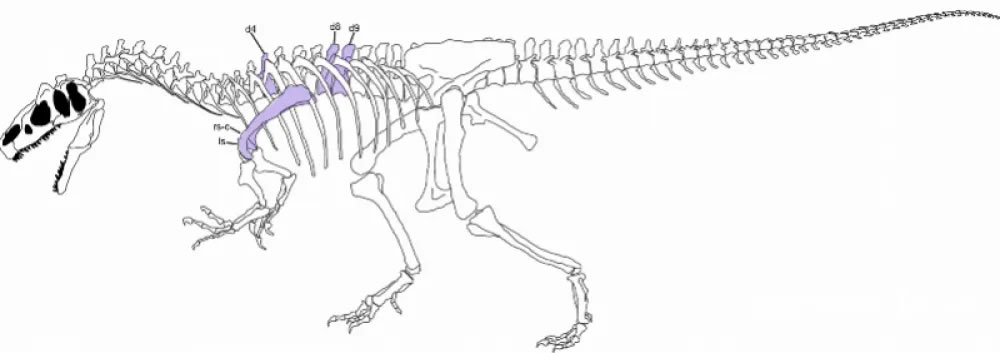 ������Ŀ������ҽԺ������ 1.5��������������λ����