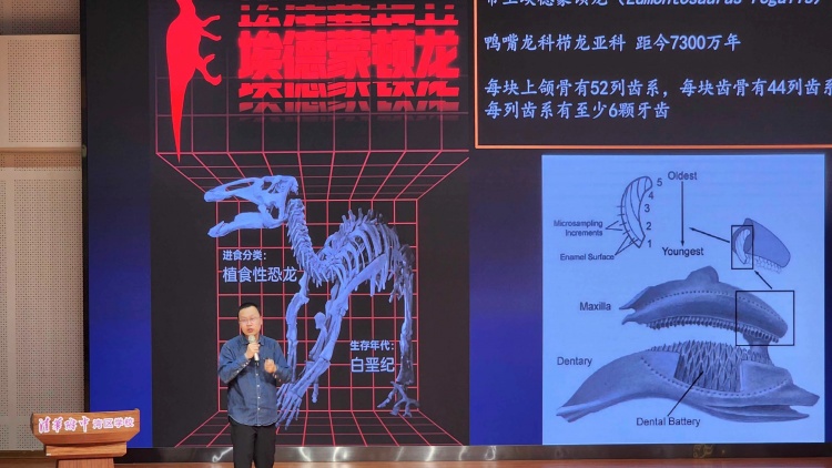 �齭��ѧ���ã�������һ��׷�ٿ�����