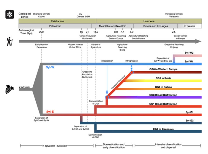��Science�������о���ʾ���ѵ���Դ��ѱ������