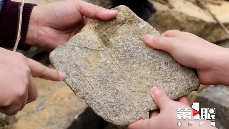 ��������������ϼ���Ͳ˻������ڷ��ֹ����ﻯʯ