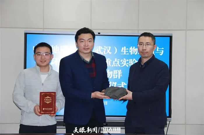 �й����ʴ�ѧ���人���о��Ŷ������ʡ���ʲ���ݾ���11����ʯ�걾