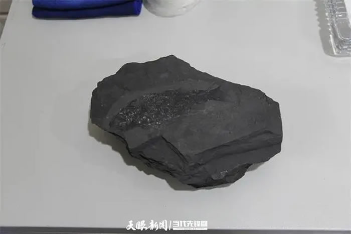 �й����ʴ�ѧ���人���о��Ŷ������ʡ���ʲ���ݾ���11����ʯ�걾