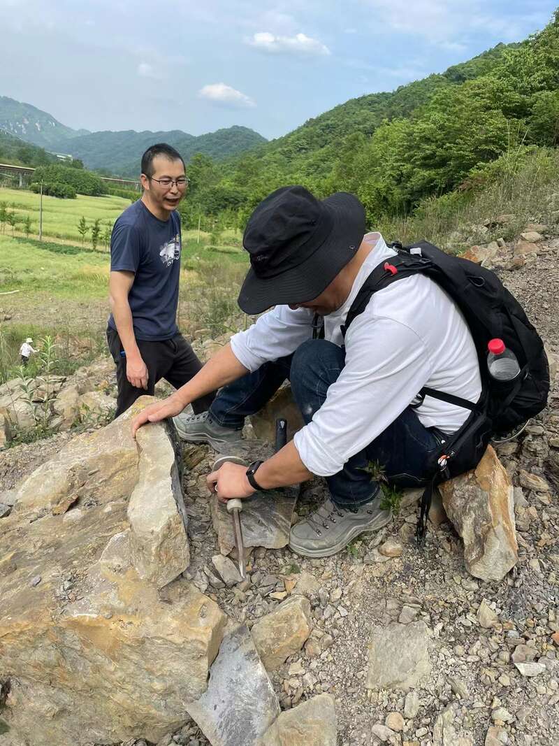 �Ĵ�����������ͳ��Һ��鷢������2����ǰ�������Ӿ�ż�