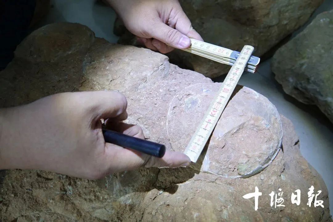 ������ʮ������ɽ�����ϰ���ͳ�߹�����������ۺ��о������й��Ҽ���Ŀ