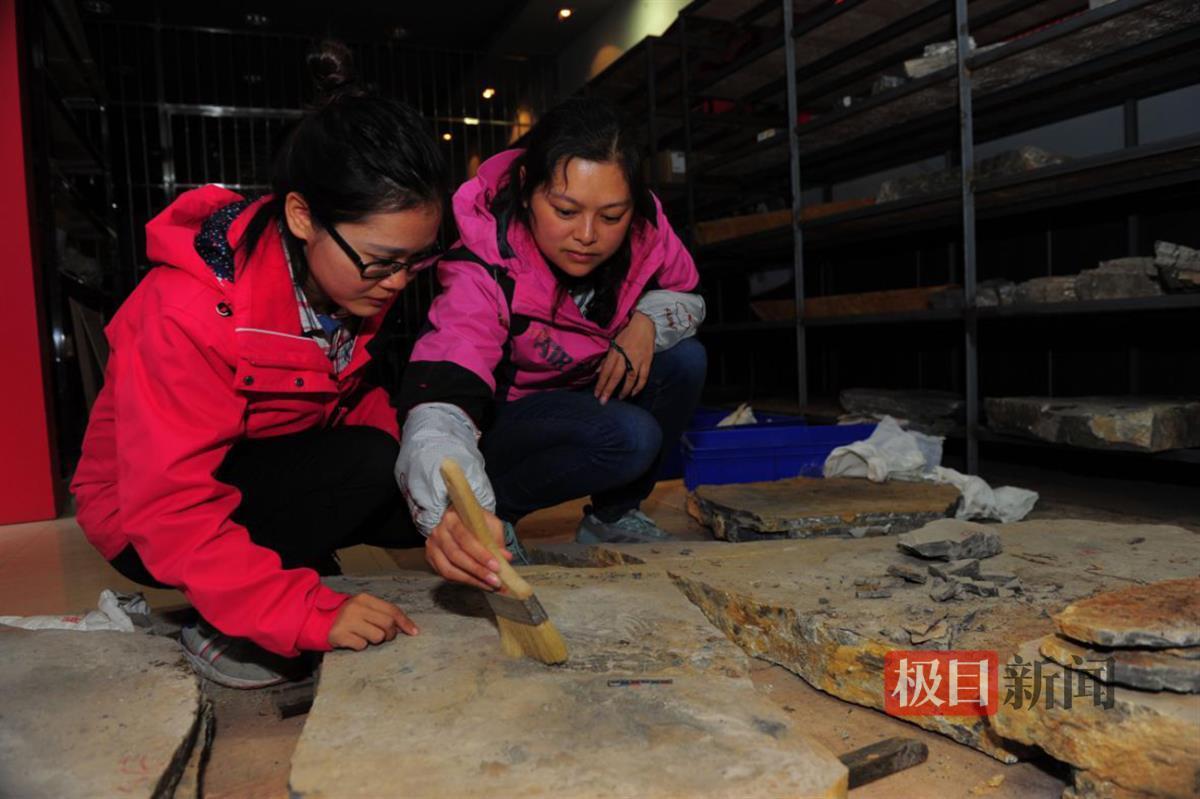 两名女性地质工作者荣获“湖北省三八红旗手”荣誉称号