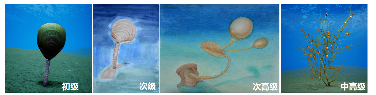 ͨ�����α���������ݽ�ʾ���ʯ���ݻ�����