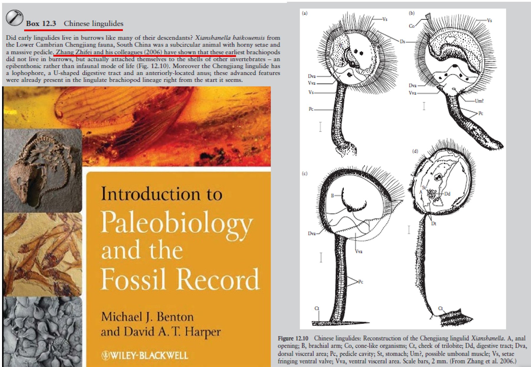 ͨ�����α���������ݽ�ʾ���ʯ���ݻ�����