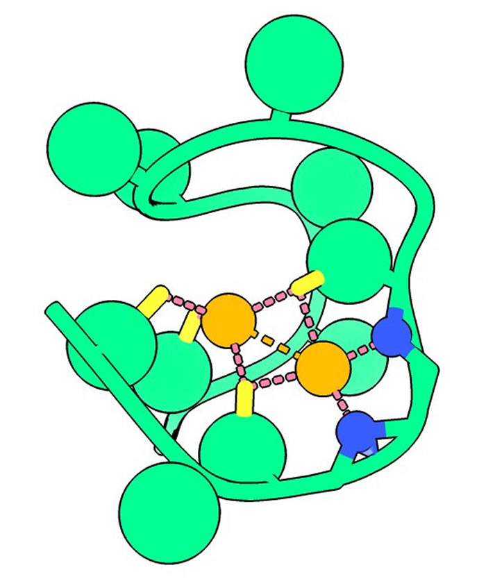 ��ѧ��ȷ��������������������������