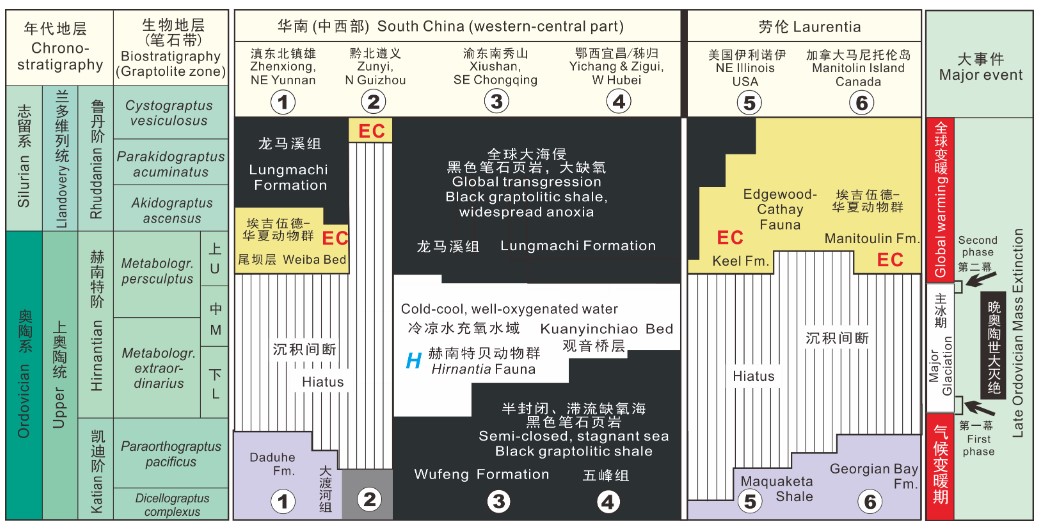 ��������ѧ�������������������������һ�����㶯��Ⱥ�����ݻ����������ʾ