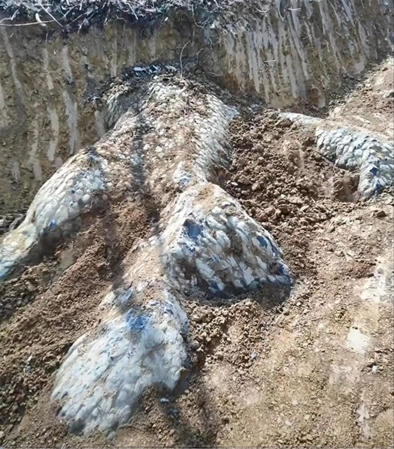 �������������ڳ�����ʯ�����ػ�Ӧ