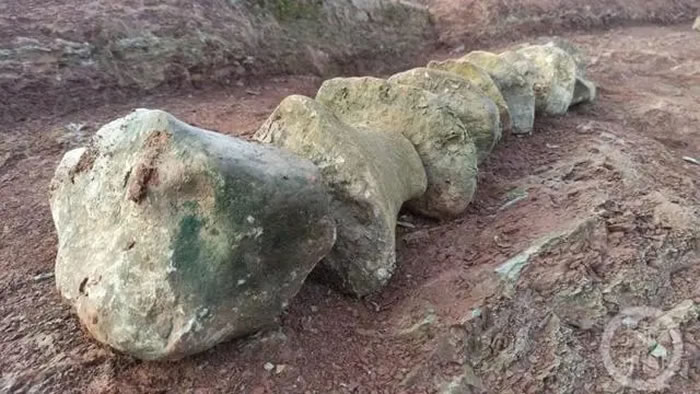 ���꽭�߷��֡�������ʯ��������ȷ������