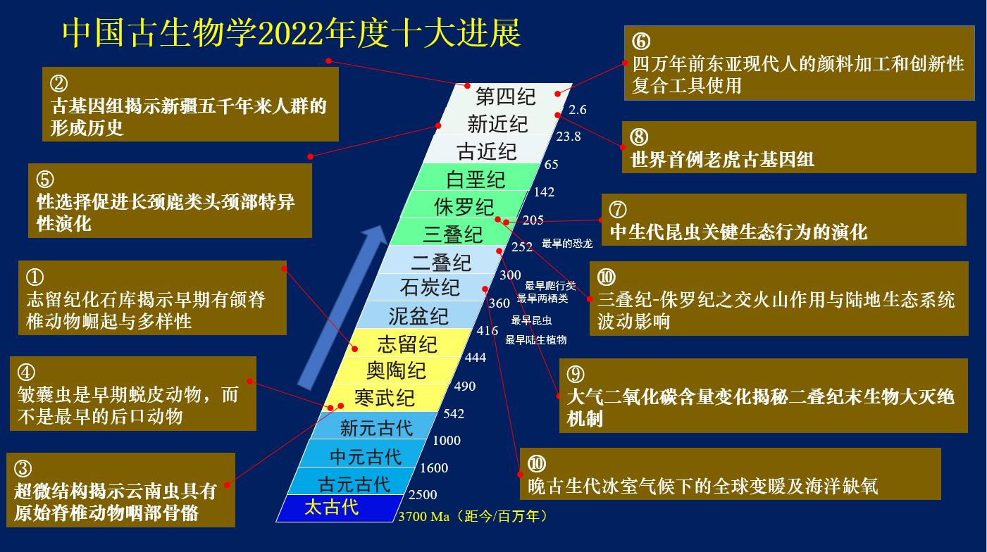 �й�������ѧ�ṫ����2022����й�������ѧʮ���չ�� �Ͼ�������������ɹ���ѡ