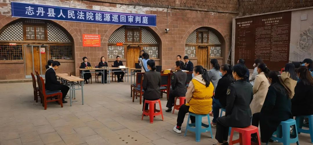 护千古化石以安宁 还万里青山以碧绿