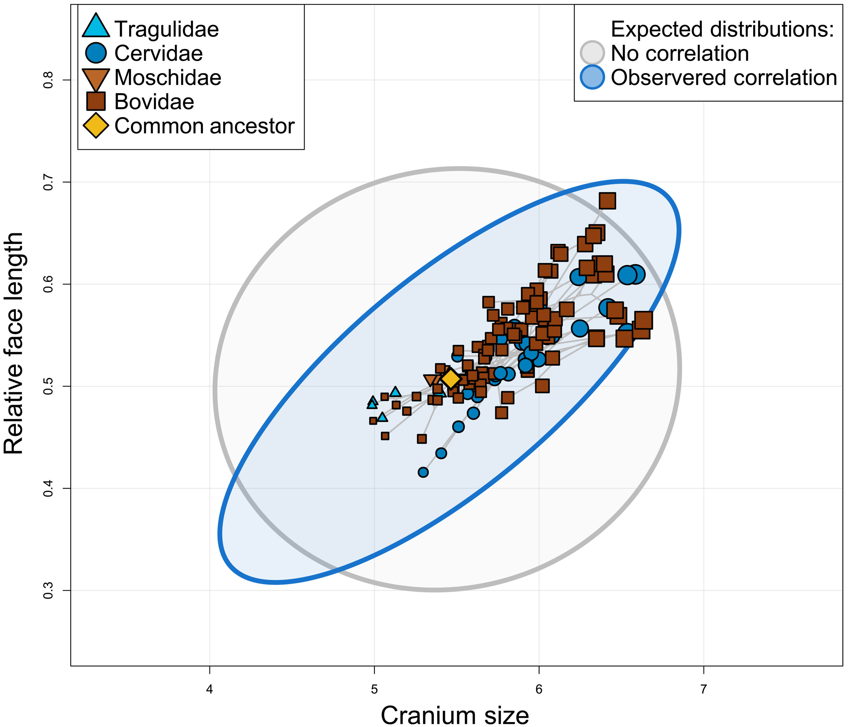 ��ۻ����ͷ�ǵĶ�����������΢�۽������̵���۽���ģʽ