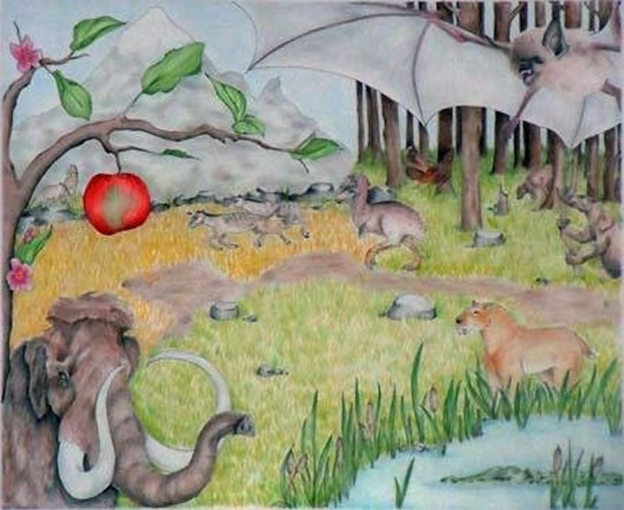 ��ۻ����ͷ�ǵĶ�����������΢�۽������̵���۽���ģʽ