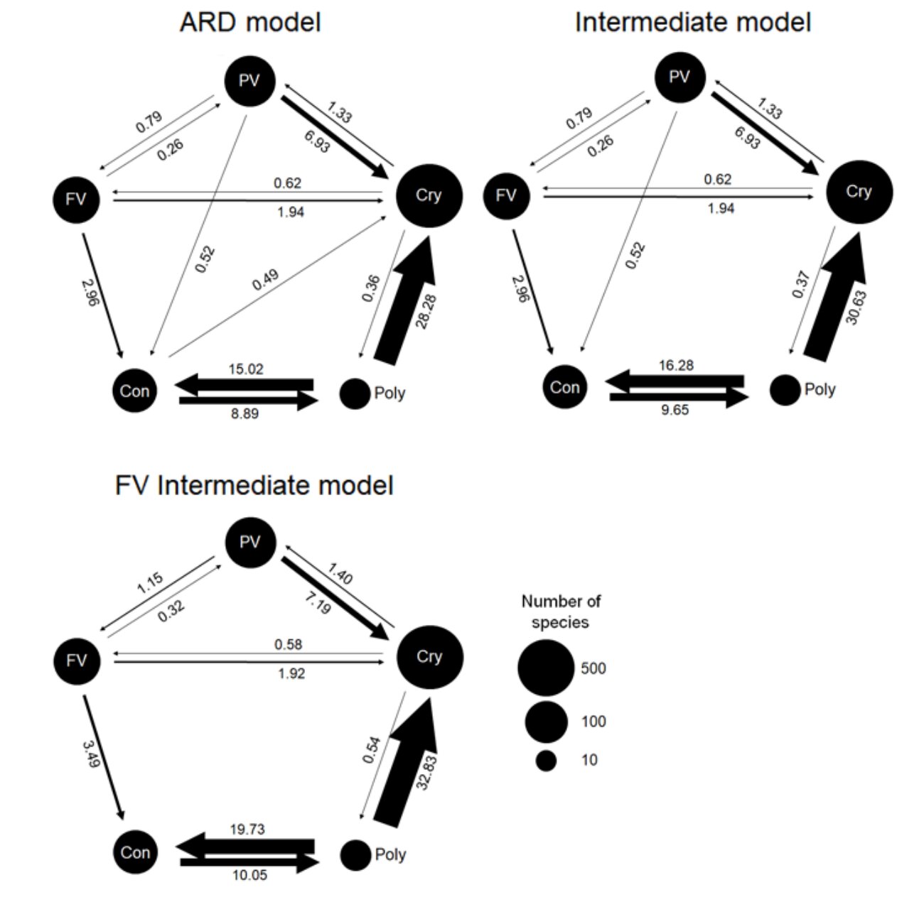 ����˶�����ν��������޵���ɫ�������Ե���ì��