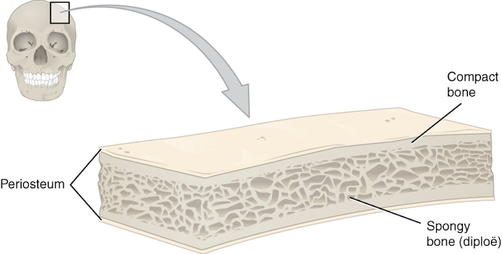 �񺽿��ɿ���һ���Ĺ�ͷ��������������Ľ�����Ӧ